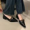 Модные женские туфли-лодочки Модные с острым носком Ретро 2025 Весна Осень Ремешок с пряжкой Высокие каблуки Мэри Джейн Квадратные массивные каблуки Женская обувь