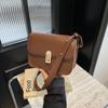 Retro Niche High-value Bag Women's 2025 New Autumn and Winter Trend Small Square Bag Versatile Shoulder Bag