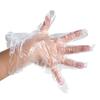 Fangcaodi Children's Food-Grade Disposable PE Gloves - 50 Pack for Hygiene and Safety