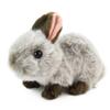 Yoshitoku Riku No Nakamatachi Rabbit Plush Gray 180498 Toy,