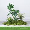 Bionic Fake Plants for Indoor Decoration: Living Room, Window Display, Under Stairs, Corner Arrangement.