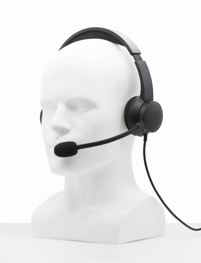 Princeton микрофон отключение регулировки громкости гарнитуры кабель с функцией шумоподавления микрофона USB-A USB-C 1.8m UB-HSUSB2