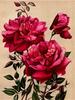 Diamont Painting Flowers Diamond Painting 5D New Arrivals Cross Stitch Kit Diamond Art Painting Kits