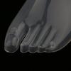 5Pcs Adult Foot Mannequin for Sock Display Female