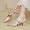 Baotou Sandals Women's 2025 New Summer French Mary Jane Shoes Thick Heel Silver Word with Pointed High Heels