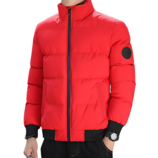 Men Down Jacket Stand Collar Long Sleeve Zipper Closure Jacket Elastic Hem Solid