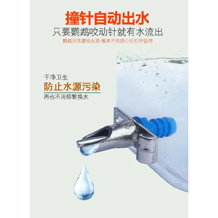 Bird Parrot Pin Type Water Dispenser External Water Dispenser with Large Capacity 800ml Kettle Peony/Xuanfeng Water Dispenser