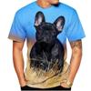 Animal French Bulldog 3D Print T Shirts Summer Men's O-Neck Short Sleeve T-shirt Oversized Streetwear Men Cute Tees Tops
