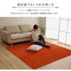 IKEHIKO Moderno Rug, Washable, Water-Repellent, Orange, Approx. 200 X 300cm, Solid Chenille, Simple, Non-Slip, #1292340206602