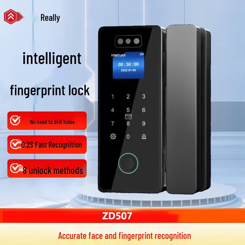 Zhen Di ZD507 3D Face & Fingerprint Smart Lock for Glass Doors CN plug (adapter included)