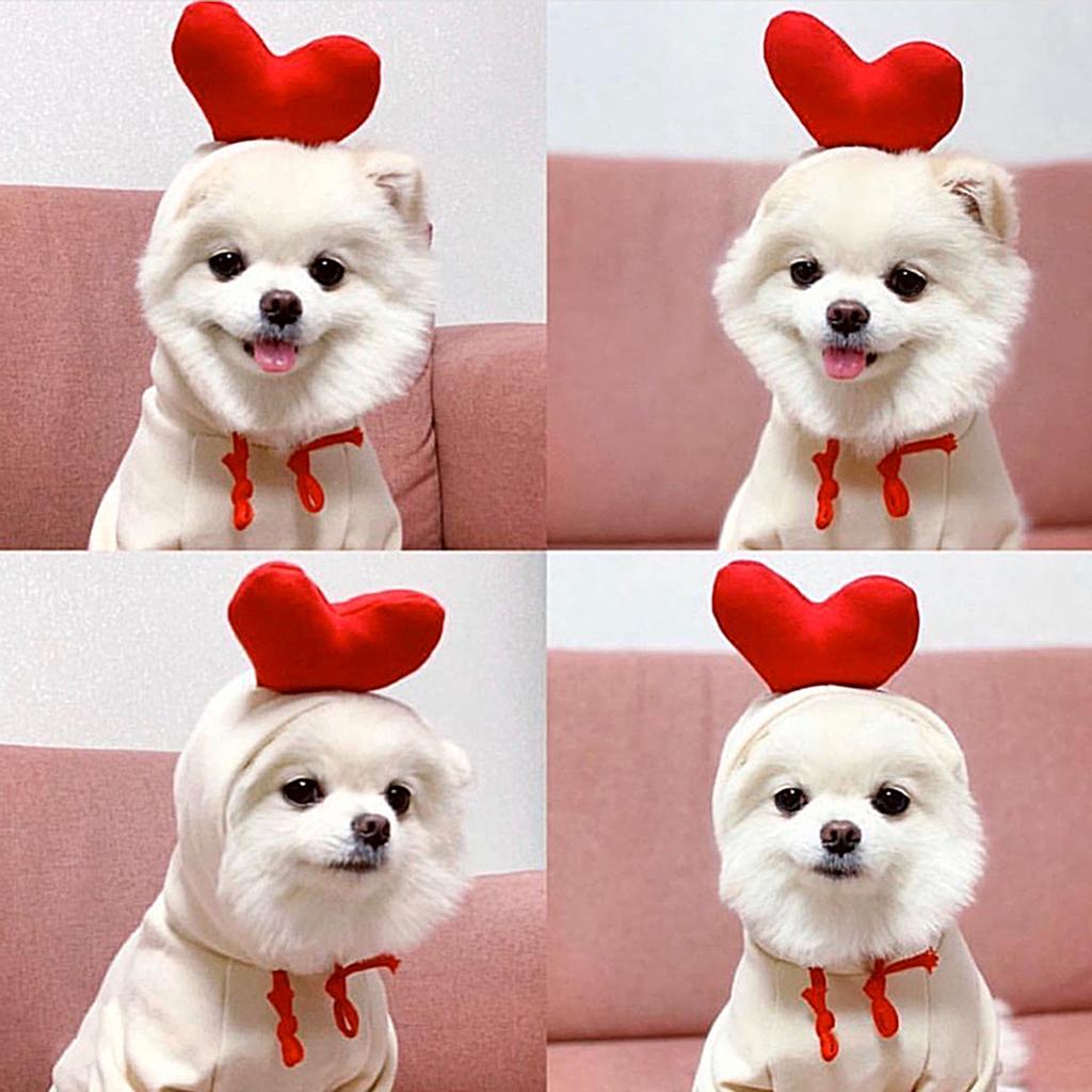 Тёплая толстовка для длмашних питомцев