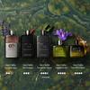 Gucci Guilty Pour Homme Туалетная вода
