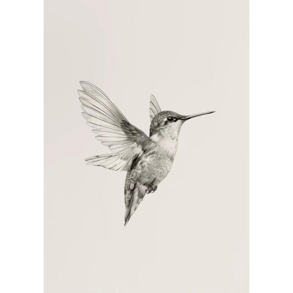 Vintage Hummingbird Sketch Bird Animal Drawing Illustration Poster Canvas Painting Print Wall Art Pictures Home