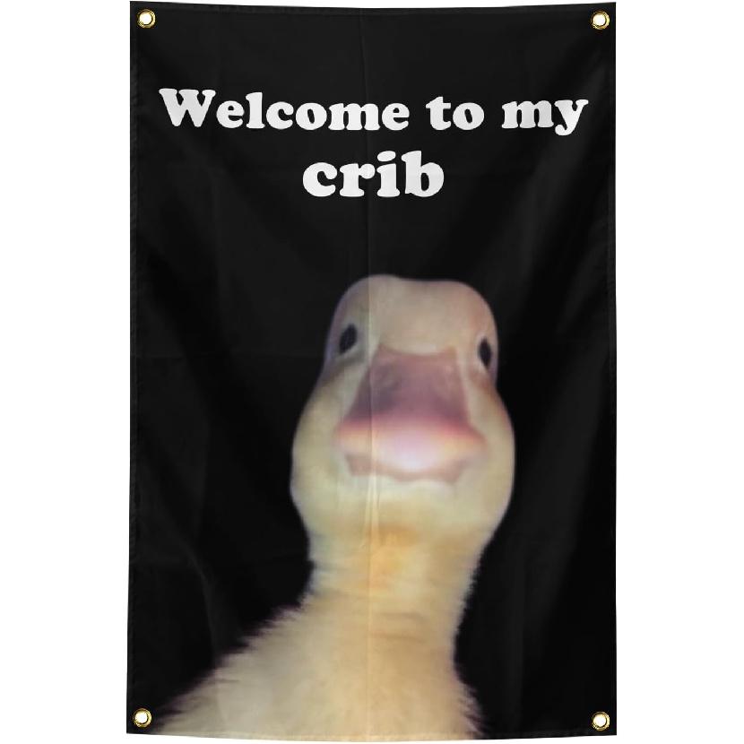 Welcome to My Crib Cute Duck Flag Teen Girl Boys College Room Dorm Decor Cool Stuff Funny Anime Flags for Room Home Decorations Posters Tapestry for