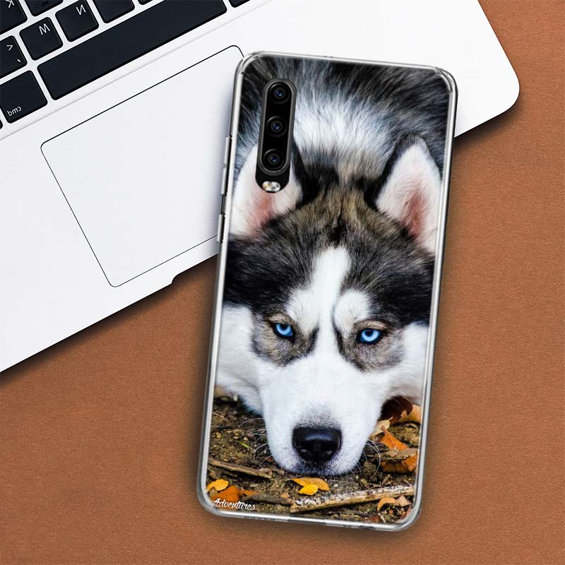 Чехол для телефона с изображением собаки сибирского хаски для Huawei P30 P20 P10 P40 P50 Pro Mate 20 40 30 10 Lite, популярный чехол Fundas Art Gift Coque