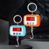 High-Precision Digital Crane Scale Mini Hook Scale Portable Hanging Scale  Industrial Household