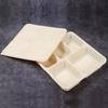 Degradable 5-Compartment Takeaway Lunch Boxes