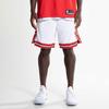 Nike Шорты NBA Chicago Bulls Swingman Association Edition Dri-Fit белые мужские уличные AJ5592-100