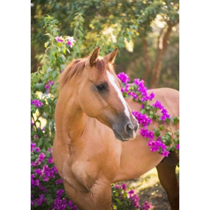 Новый 5D DIY пейзаж алмазная живопись Лошадь Алмазная вышивка животное вышивка крестиком полная круглая дрель домашний декор ручной подарок