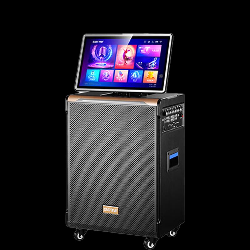 SAST All-in-One Home KTV Karaoke System CN plug (adapter included)