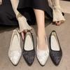 New Retro Pointed-toe Grandma Shoes and Flat Shoes for Casual Plus-size Single Shoes