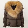 OFTBUY 2024 Winter Jacket Women Natural Real Raccoon Fox Fur Collar White Duck Down Coat Thick Warm Streetwear Casual Outerwear