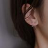 Niche Design Sense Earrings Women New Fashion Simple Cold Wind Network Red Port Wind Stud Men and Women with the Same Earrings