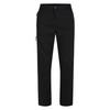 Mens Mountain Series Hiking Trousers