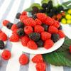 Color DIY Accessories Fake Fruit Artificial Raspberry Photography Props Mulberry Branch Model