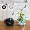 Flexible Flower Frog Ikebana Kenzan Flower Fixed Holder Flower Arrangement Garden Cafe Decor Arranging Base Organizer