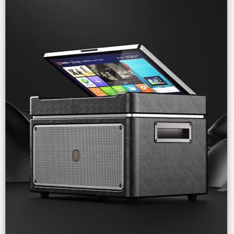 Portable KTV Bluetooth Speaker with Display and Dual Mics (CN version)