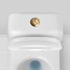 Compatible 38mm Brushed Brass Gold Toilet Flush Cistern Button for Renovations