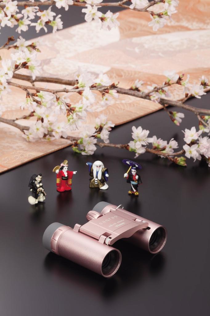 Бинокль Vixen Saqras H6×16 16481-3