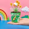 Surprise Box Potted Plant Gift for Kids - Perfect for School Rewards, Graduations, and Birthdays