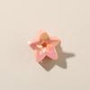 Mini Star Claw Clip 2.5CM - Elegant Dopamine Hair Claw for Bangs and Flyaways