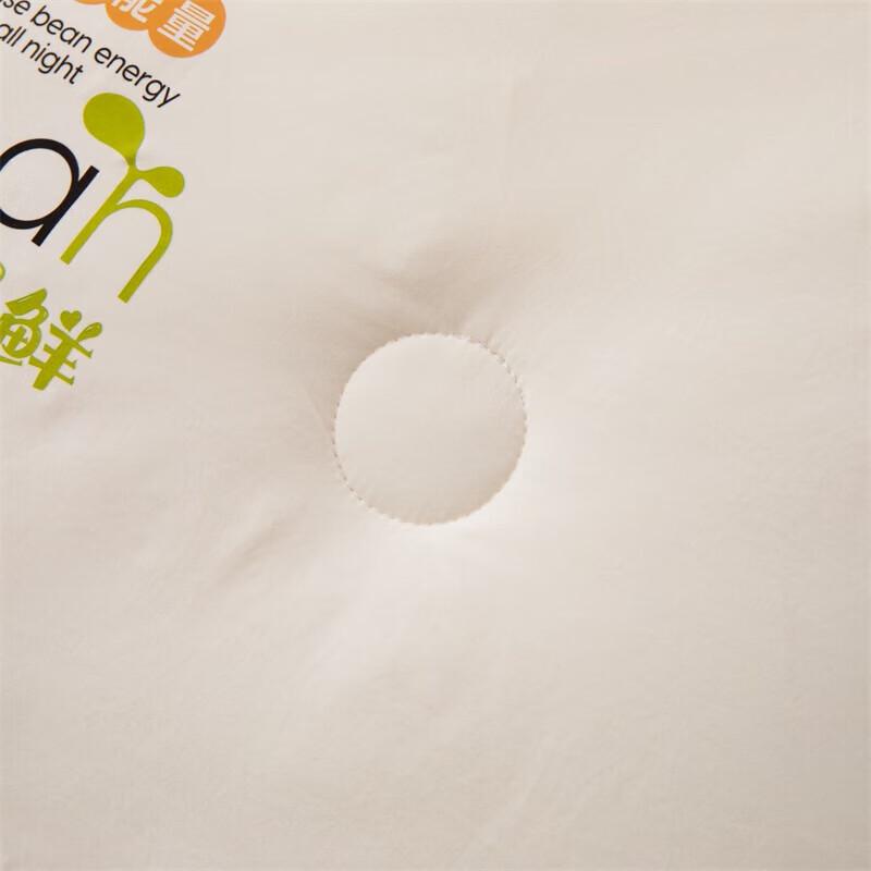 Southern Life Soy Blend Soft Cotton Winter Quilt