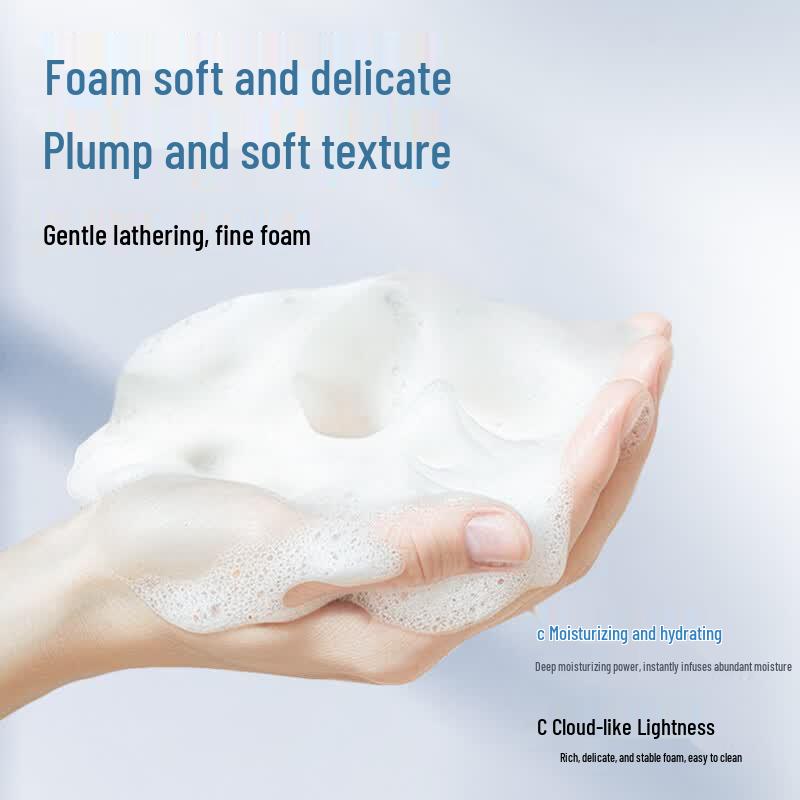 Biaoting Foaming Hand Wash