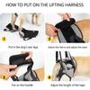 Реабилитация связок Поддержка собак Шлейка для задних ног Вспомогательный пояс для домашних животных Новая поддержка собак Слинг для собак