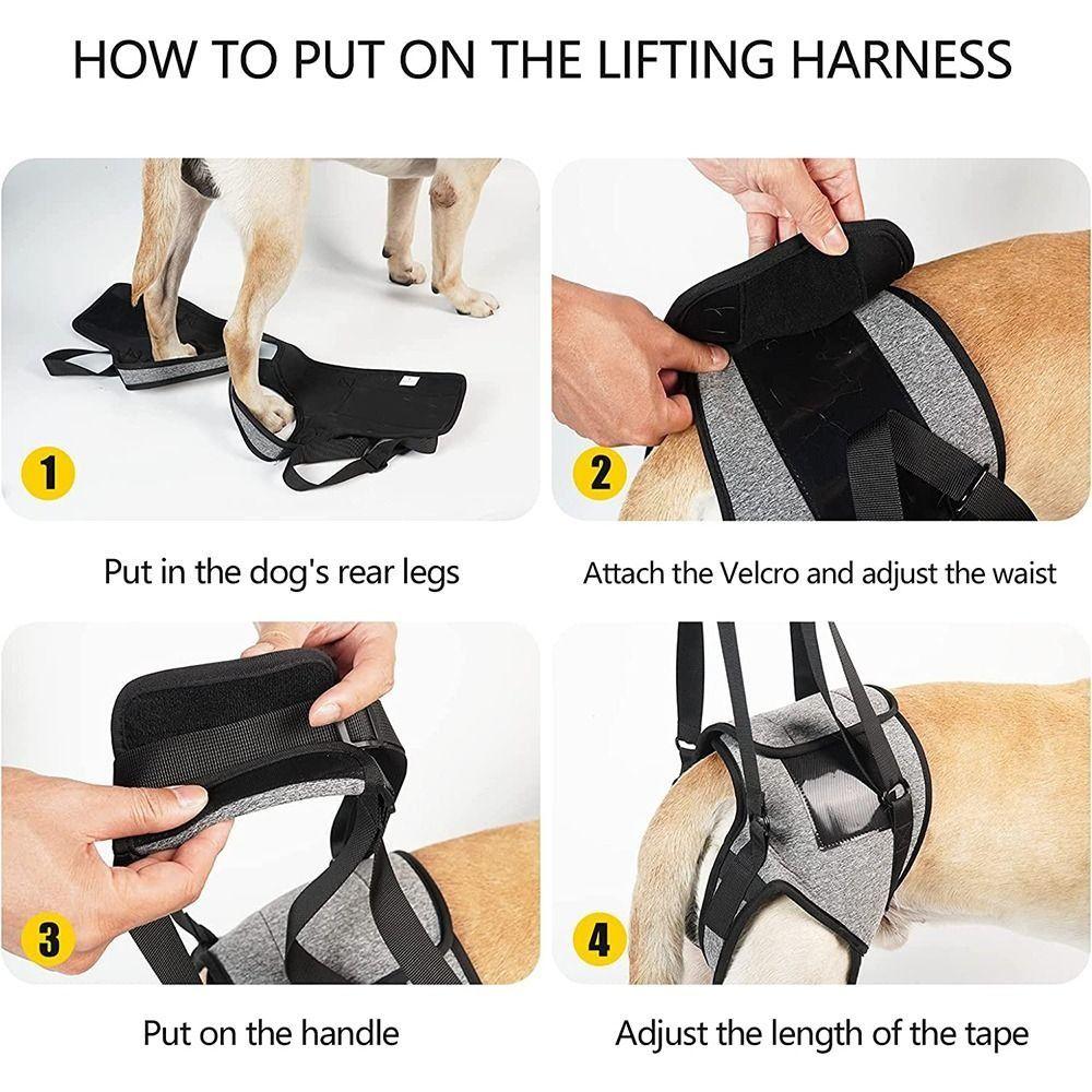 Реабилитация связок Поддержка собак Шлейка для задних ног Вспомогательный пояс для домашних животных Новая поддержка собак Слинг для собак