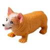 Slow Rebound Squeeze Toys Stress Relieve Corgi Dog Modeling Cute Pulling Toys  Gift