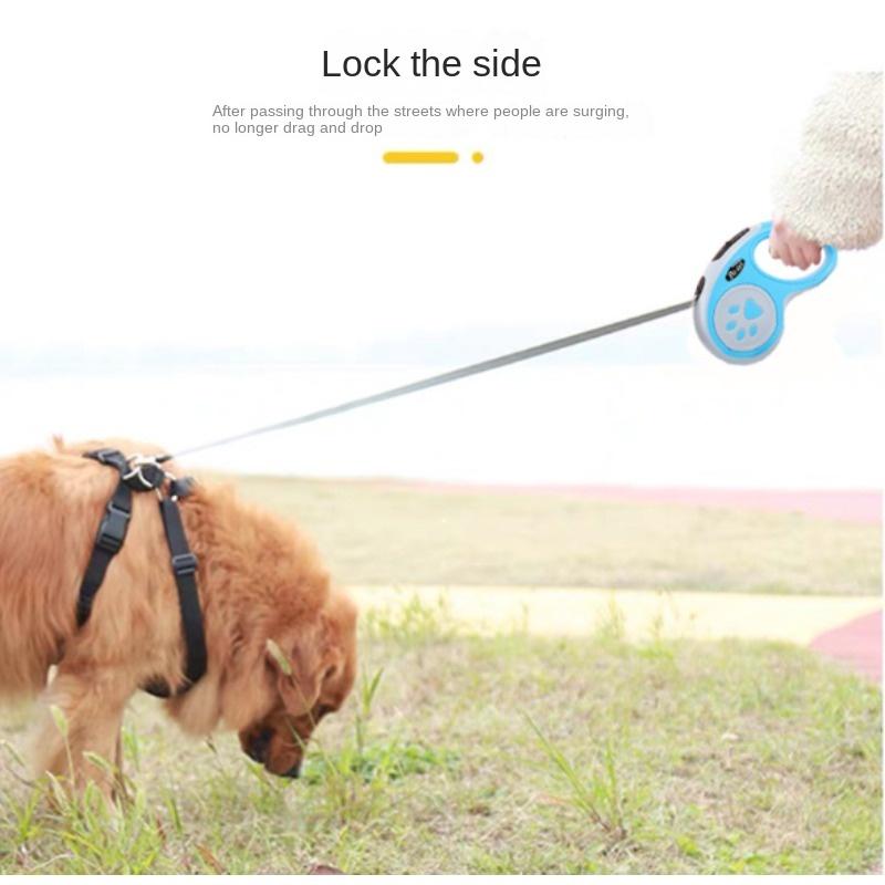 Поводок для домашних животных, автоматический выдвижной поводок для домашних животных, уличный поводок для выгула собак, бег, тяговая рулетка для маленьких собак, нейлоновый ошейник для домашних животных, принадлежности