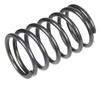 Valve Spring Cedrus Engine Y170V 484137