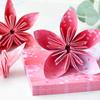 Creativity Exercise Sakura Double Sides Folding Paper Craft paper Art Material Origami Paper