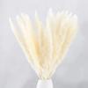 30PCS Small Reed Immortal Flower Bouquet Pampas Grass Dry Flowers Christmas DIY Decorations White
