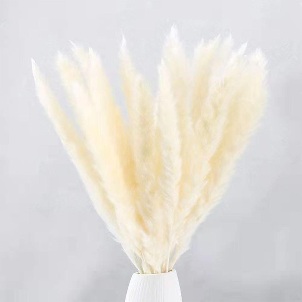 30PCS Small Reed Immortal Flower Bouquet Pampas Grass Dry Flowers Christmas DIY Decorations White