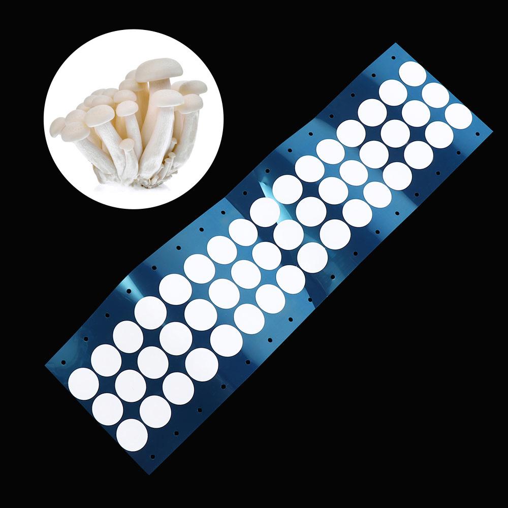 48 шт. Водонепроницаемая 20 мм Бумажная наклейка для фильтра Дышащая 20 мм Мембрана 20 мм Гидрофобная Дышащая Мембрана Материал EPTFE