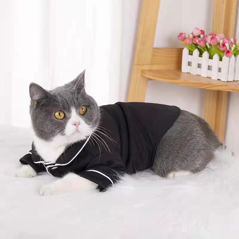 Sphinx & Pet Apparel: Fall Wear for Hairless Cats and Dogs