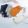 Korean Version of Male Touch Screen Gloves Winter Female Ins Cute Warm and Velvet Winter Student Riding Wool Five Fingers