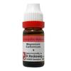 Dr. Reckeweg Magnesium Carbonicum Dilution - 11 Ml - 6 CH
