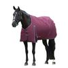 Weatherbeeta Comfitec Essential Standard-Neck Horse Turnout Rug